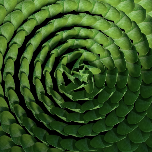 Scene 64301505-f814-4e70-8854-b456e632642a