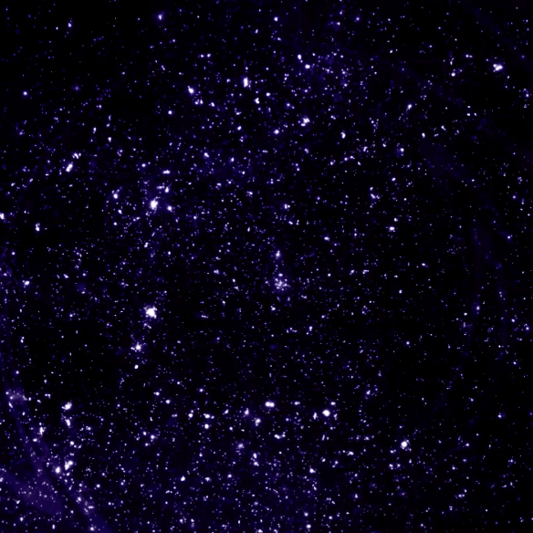 Scene 8b919794-1595-4cb9-81f4-74a6dcde5009