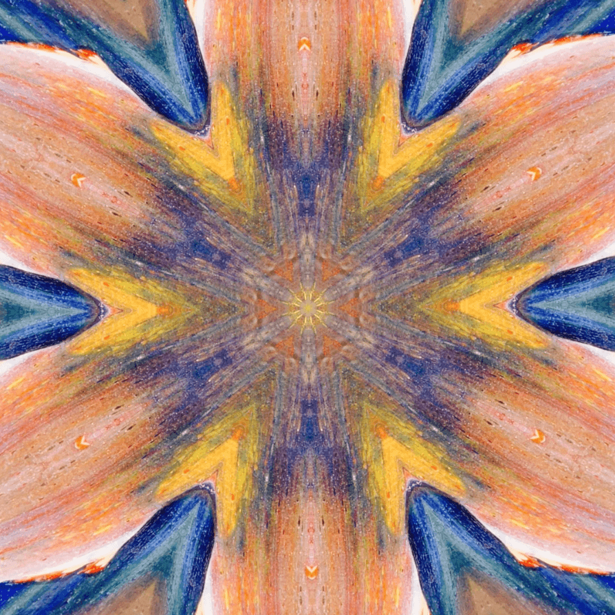 Scene 9a57cb1b-1c87-4c92-84e9-99ce403747c8