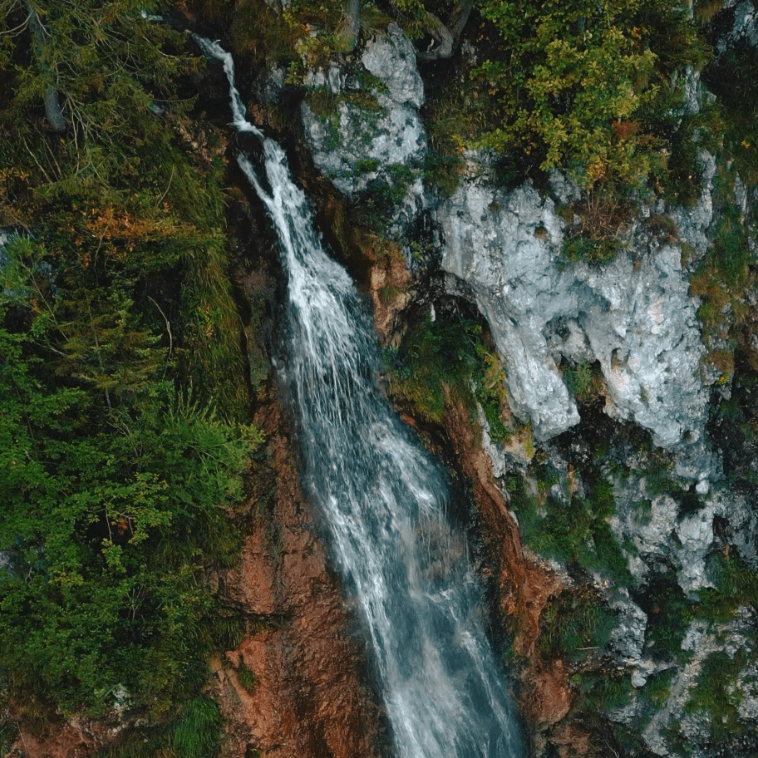 Scene cf5fa6dc-609c-467a-8c51-dac8bc280bf8